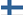 Φιλλανδικά, Finnish